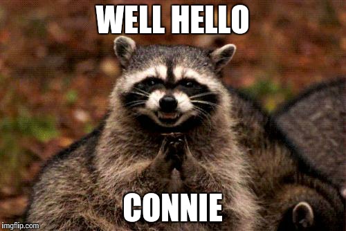 Evil Plotting Raccoon Meme | WELL HELLO CONNIE | image tagged in memes,evil plotting raccoon | made w/ Imgflip meme maker