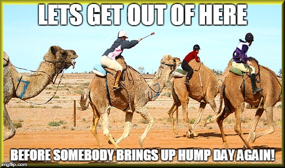Come One Camel | LETS GET OUT OF HERE BEFORE SOMEBODY BRINGS UP HUMP DAY AGAIN! | image tagged in hump day,camel,race | made w/ Imgflip meme maker