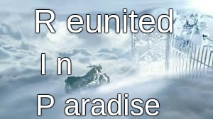 RIP | R eunited I n P aradise | image tagged in rip,heaven | made w/ Imgflip meme maker