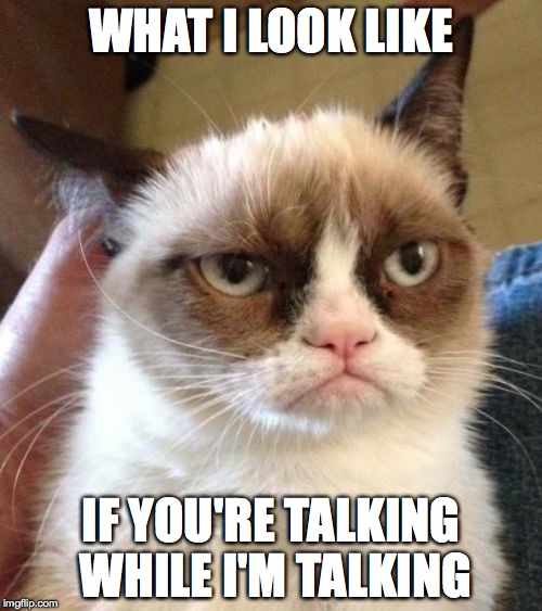 Grumpy Cat Reverse | WHAT I LOOK LIKE IF YOU'RE TALKING WHILE I'M TALKING | image tagged in memes,grumpy cat reverse,grumpy cat | made w/ Imgflip meme maker
