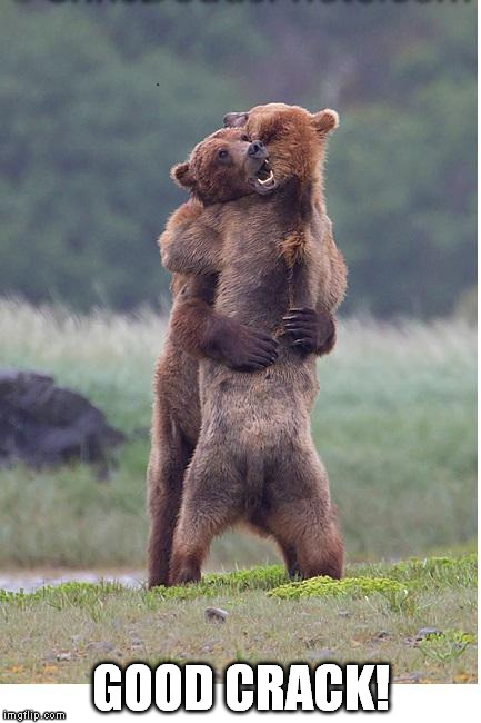 hugging bears | GOOD CRACK! | image tagged in hugging bears | made w/ Imgflip meme maker