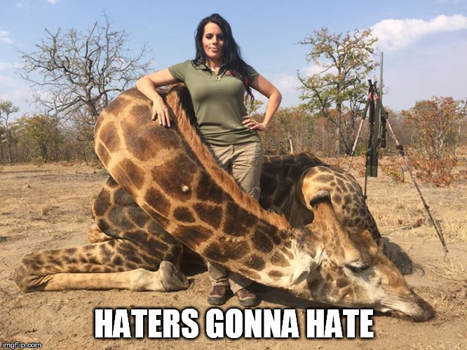 HATERS GONNA HATE | image tagged in haters,great white huntress | made w/ Imgflip meme maker