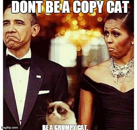 image tagged in funny,memes,grumpy cat,obama | made w/ Imgflip meme maker