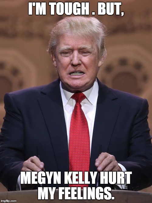Donald Trump | I'M TOUGH . BUT, MEGYN KELLY HURT MY FEELINGS. | image tagged in donald trump,memes,political,election 2016,road to whitehouse campaine,politics | made w/ Imgflip meme maker