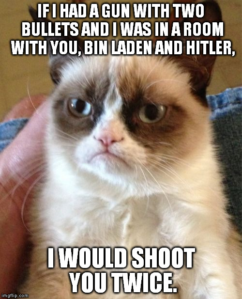 Grumpy Cat Meme | IF I HAD A GUN WITH TWO BULLETS AND I WAS IN A ROOM WITH YOU, BIN LADEN AND HITLER, I WOULD SHOOT YOU TWICE. | image tagged in memes,grumpy cat | made w/ Imgflip meme maker