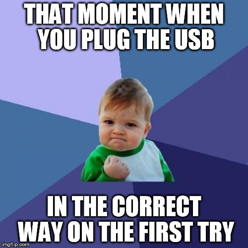 Success Kid | THAT MOMENT WHEN YOU PLUG THE USB IN THE CORRECT WAY ON THE FIRST TRY | image tagged in memes,success kid | made w/ Imgflip meme maker