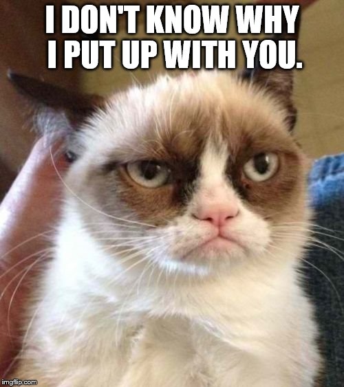 Grumpy Cat Reverse | I DON'T KNOW WHY I PUT UP WITH YOU. | image tagged in memes,grumpy cat reverse,grumpy cat | made w/ Imgflip meme maker