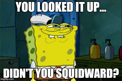 YOU LOOKED IT UP... DIDN'T YOU SQUIDWARD? | image tagged in memes,dont you squidward | made w/ Imgflip meme maker