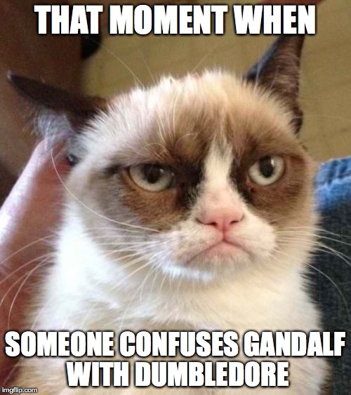 Grumpy Cat Reverse Meme | THAT MOMENT WHEN SOMEONE CONFUSES GANDALF WITH DUMBLEDORE | image tagged in memes,grumpy cat reverse,grumpy cat | made w/ Imgflip meme maker