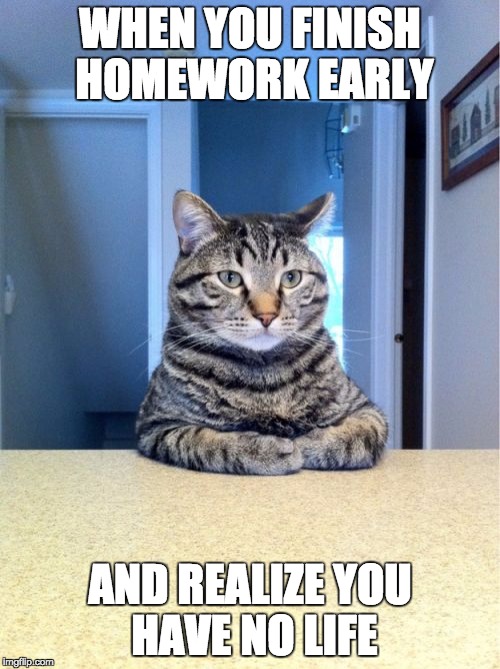 Take A Seat Cat | WHEN YOU FINISH HOMEWORK EARLY AND REALIZE YOU HAVE NO LIFE | image tagged in memes,take a seat cat | made w/ Imgflip meme maker