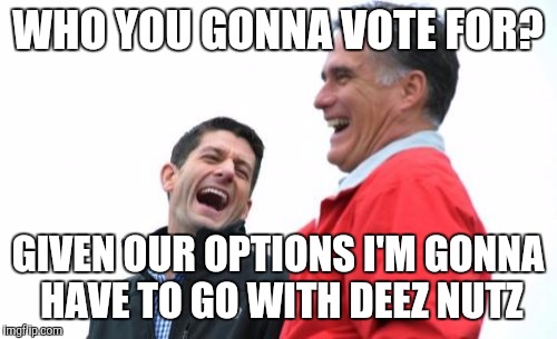 Romney And Ryan | WHO YOU GONNA VOTE FOR? GIVEN OUR OPTIONS I'M GONNA HAVE TO GO WITH DEEZ NUTZ | image tagged in memes,romney and ryan | made w/ Imgflip meme maker