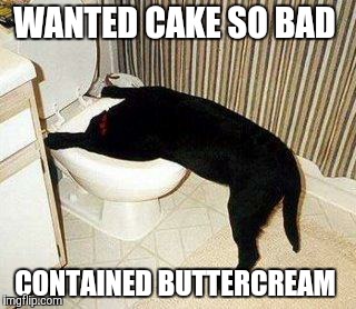 Sick Puppy | WANTED CAKE SO BAD CONTAINED BUTTERCREAM | image tagged in sick puppy | made w/ Imgflip meme maker