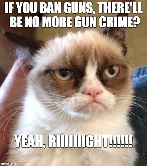 Grumpy Cat Reverse | IF YOU BAN GUNS, THERE'LL BE NO MORE GUN CRIME? YEAH, RIIIIIIIGHT!!!!!! | image tagged in memes,grumpy cat reverse,grumpy cat | made w/ Imgflip meme maker