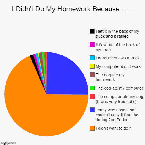 image tagged in funny,pie charts,school,homework,excuses,computer | made w/ Imgflip chart maker