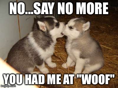 Cute Puppies | NO...SAY NO MORE YOU HAD ME AT "WOOF" | image tagged in memes,cute puppies | made w/ Imgflip meme maker
