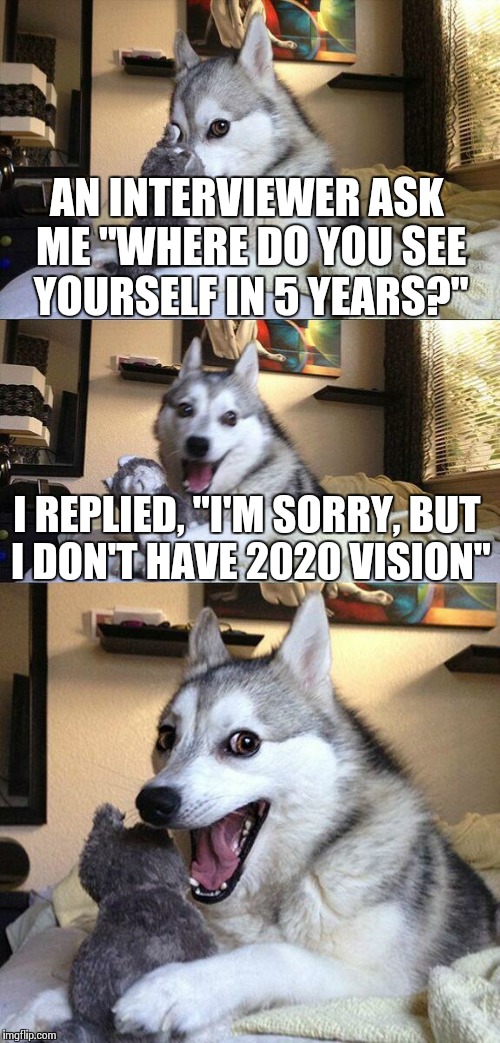 Job Interview  | AN INTERVIEWER ASK ME "WHERE DO YOU SEE YOURSELF IN 5 YEARS?" I REPLIED, "I'M SORRY, BUT I DON'T HAVE 2020 VISION" | image tagged in memes,bad pun dog | made w/ Imgflip meme maker