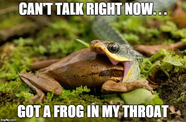 CAN'T TALK RIGHT NOW. . . GOT A FROG IN MY THROAT | image tagged in funny,animals,memes,frog,snake | made w/ Imgflip meme maker