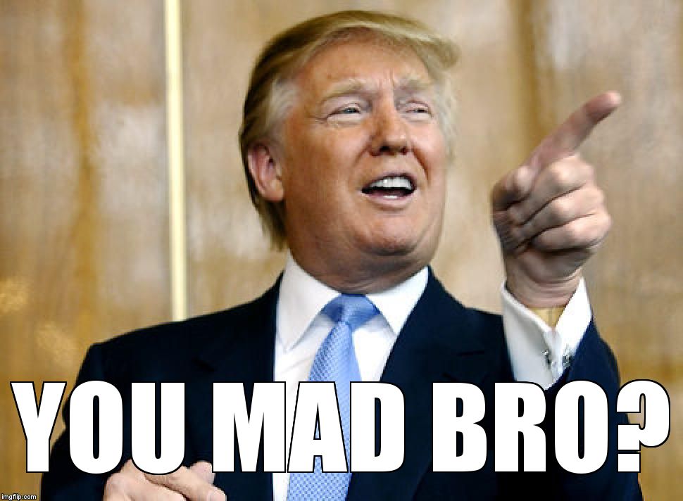 Trump you mad bro | YOU MAD BRO? | image tagged in donald trump,you mad bro | made w/ Imgflip meme maker