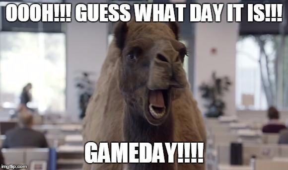 Hump Day Camel | OOOH!!!
GUESS WHAT DAY IT IS!!! GAMEDAY!!!! | image tagged in hump day camel | made w/ Imgflip meme maker