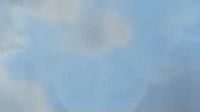 radt.gif