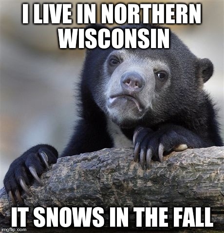 I LIVE IN NORTHERN WISCONSIN IT SNOWS IN THE FALL | image tagged in memes,confession bear | made w/ Imgflip meme maker