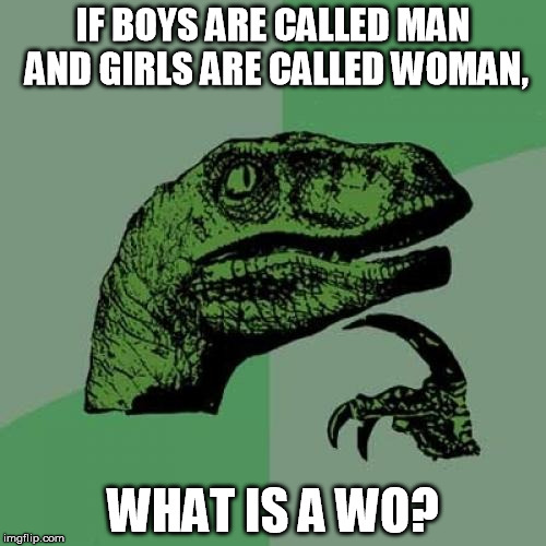 Philosoraptor | IF BOYS ARE CALLED MAN AND GIRLS ARE CALLED WOMAN, WHAT IS A WO? | image tagged in memes,philosoraptor | made w/ Imgflip meme maker