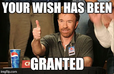 Chuck Norris Approves Meme | YOUR WISH HAS BEEN GRANTED | image tagged in memes,chuck norris approves | made w/ Imgflip meme maker