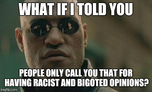 WHAT IF I TOLD YOU PEOPLE ONLY CALL YOU THAT FOR HAVING RACIST AND BIGOTED OPINIONS? | image tagged in memes,matrix morpheus | made w/ Imgflip meme maker