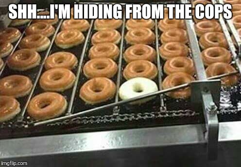 SHH....I'M HIDING FROM THE COPS | image tagged in donuts,police,hide | made w/ Imgflip meme maker