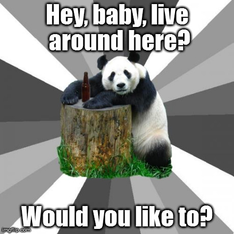 Pickup Line Panda Meme | image tagged in memes,pickup line panda | made w/ Imgflip meme maker