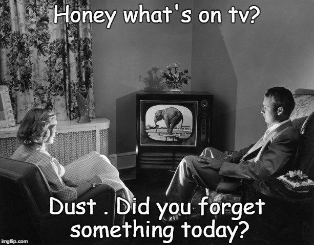 Honey what's on tv? Dust . Did you forget something today? | image tagged in wife,kitchen | made w/ Imgflip meme maker