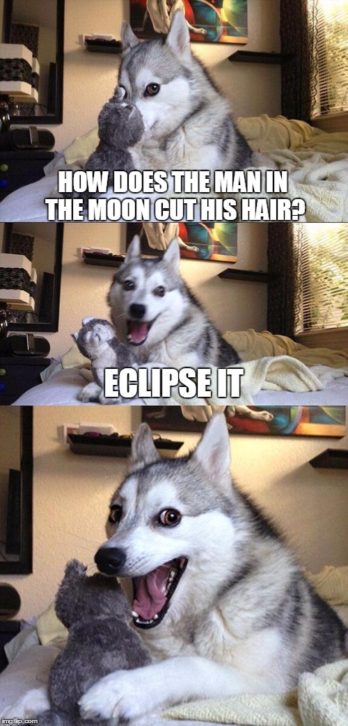 Moon joke | HOW DOES THE MAN IN THE MOON CUT HIS HAIR? ECLIPSE IT | image tagged in memes,bad pun dog | made w/ Imgflip meme maker