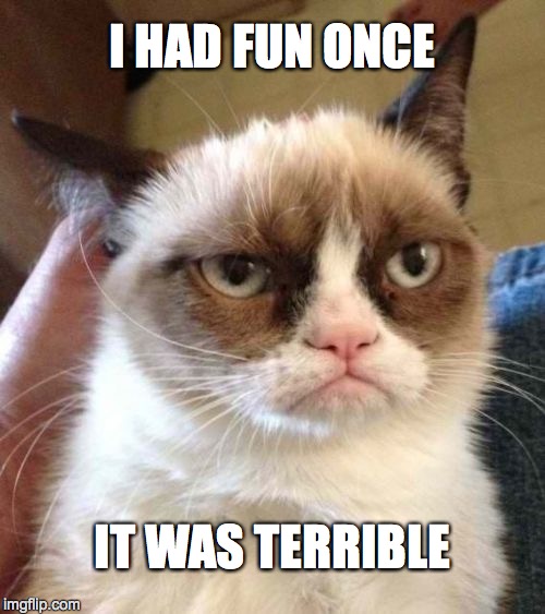 Grumpy Cat Reverse | I HAD FUN ONCE IT WAS TERRIBLE | image tagged in memes,grumpy cat reverse,grumpy cat | made w/ Imgflip meme maker