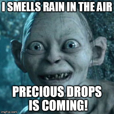 Every Californian be like ... | I SMELLS RAIN IN THE AIR PRECIOUS DROPS IS COMING! | image tagged in memes,gollum | made w/ Imgflip meme maker