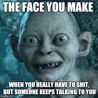 Gollum Meme | THE FACE YOU MAKE WHEN YOU REALLY HAVE TO SHIT, BUT SOMEONE KEEPS TALKING TO YOU | image tagged in memes,gollum | made w/ Imgflip meme maker