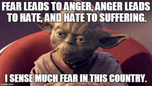 Yoda Wisdom | FEAR LEADS TO ANGER, ANGER LEADS TO HATE, AND HATE TO SUFFERING. I SENSE MUCH FEAR IN THIS COUNTRY. | image tagged in yoda wisdom | made w/ Imgflip meme maker