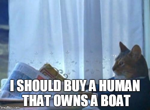 I Should Buy A Boat Cat Meme | I SHOULD BUY A HUMAN THAT OWNS A BOAT | image tagged in memes,i should buy a boat cat | made w/ Imgflip meme maker