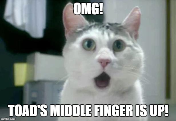 OMG! TOAD'S MIDDLE FINGER IS UP! | made w/ Imgflip meme maker