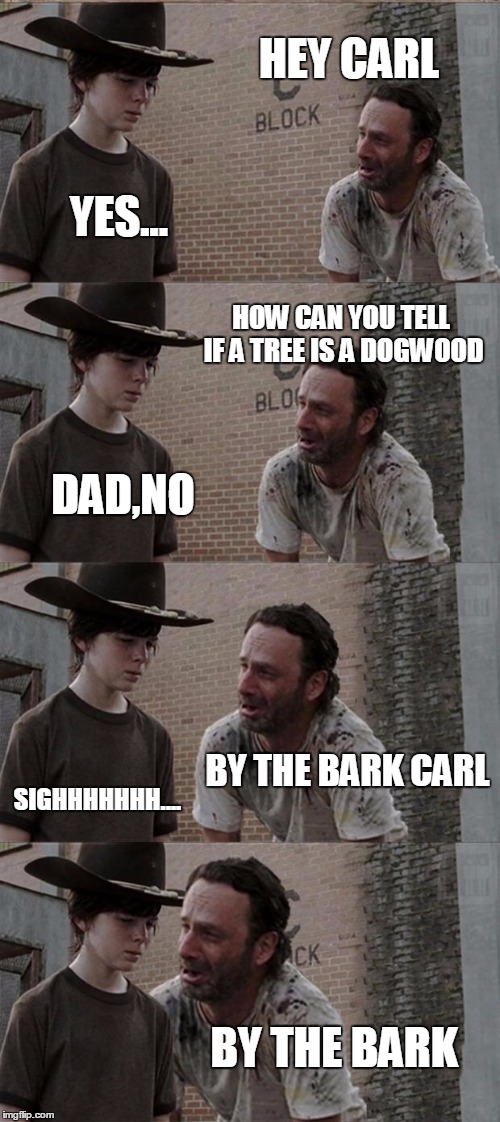 Rick and Carl Long | HEY CARL YES... HOW CAN YOU TELL IF A TREE IS A DOGWOOD DAD,NO BY THE BARK CARL SIGHHHHHHH.... BY THE BARK | image tagged in memes,rick and carl long | made w/ Imgflip meme maker