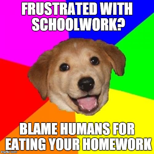 Advice Dog | FRUSTRATED WITH SCHOOLWORK? BLAME HUMANS FOR EATING YOUR HOMEWORK | image tagged in memes,advice dog | made w/ Imgflip meme maker