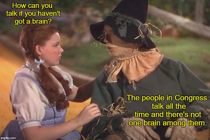 Congress | How can you talk if you haven't got a brain? The people in Congress  talk all the time and there's not one brain among them. | image tagged in congress,dorothy,scarecrow,brains | made w/ Imgflip meme maker
