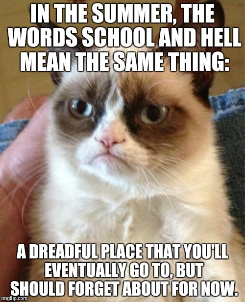 Grumpy Cat Meme | IN THE SUMMER, THE WORDS SCHOOL AND HELL MEAN THE SAME THING: A DREADFUL PLACE THAT YOU'LL EVENTUALLY GO TO, BUT SHOULD FORGET ABOUT FOR NOW | image tagged in memes,grumpy cat | made w/ Imgflip meme maker