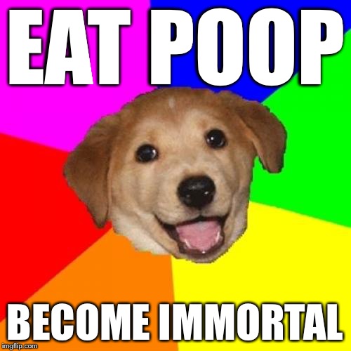 Advice Dog | EAT POOP BECOME IMMORTAL | image tagged in memes,advice dog | made w/ Imgflip meme maker