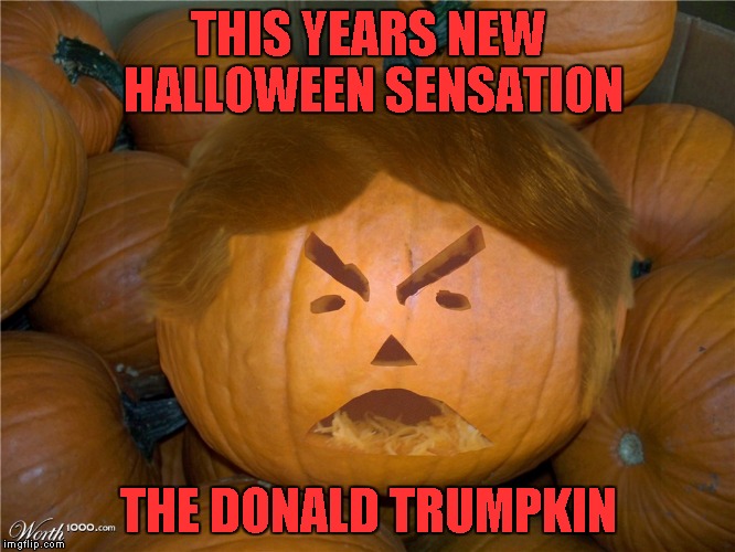 Get yours today! | THIS YEARS NEW HALLOWEEN SENSATION THE DONALD TRUMPKIN | image tagged in donald trumpkin,trump,political,funny,halloween | made w/ Imgflip meme maker