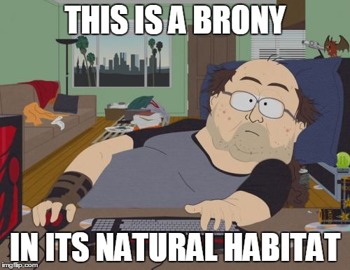 RPG Fan | THIS IS A BRONY IN ITS NATURAL HABITAT | image tagged in memes,rpg fan | made w/ Imgflip meme maker