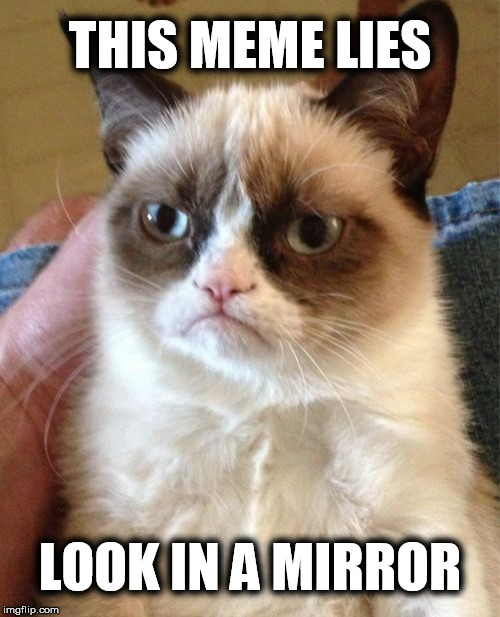 THIS MEME LIES LOOK IN A MIRROR | image tagged in memes,grumpy cat | made w/ Imgflip meme maker
