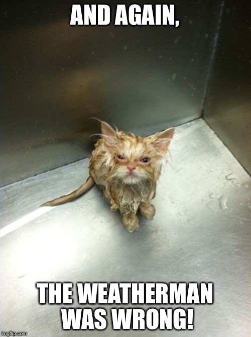 Kill You Cat | AND AGAIN, THE WEATHERMAN WAS WRONG! | image tagged in memes,kill you cat | made w/ Imgflip meme maker