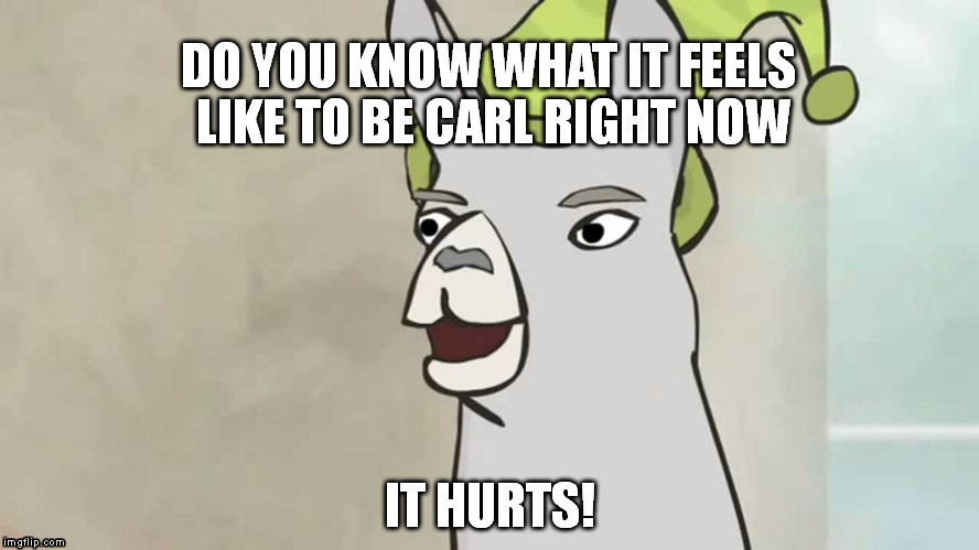 Carl | DO YOU KNOW WHAT IT FEELS LIKE TO BE CARL RIGHT NOW IT HURTS! | image tagged in llamas | made w/ Imgflip meme maker