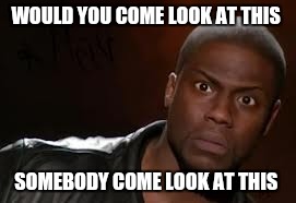 Kevin Hart Meme | WOULD YOU COME LOOK AT THIS SOMEBODY COME LOOK AT THIS | image tagged in memes,kevin hart the hell | made w/ Imgflip meme maker
