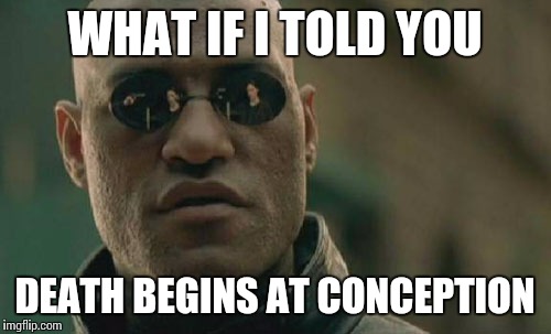 Matrix Morpheus Meme | WHAT IF I TOLD YOU DEATH BEGINS AT CONCEPTION | image tagged in memes,matrix morpheus | made w/ Imgflip meme maker